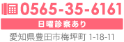 0565-35-6161 日曜診察あり 愛知県豊田市梅坪町1-18-11